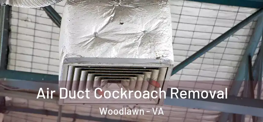  Air Duct Cockroach Removal Woodlawn - VA
