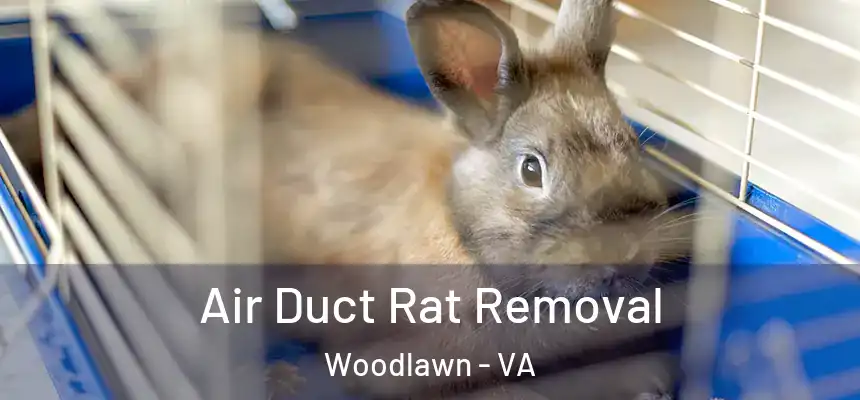  Air Duct Rat Removal Woodlawn - VA