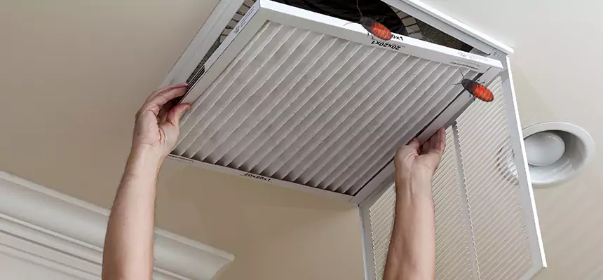 Preventive Cockroach-Proofing for Ducts in Woodlawn