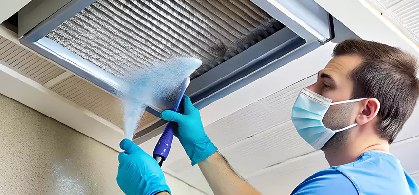 Proactive Dryer Vent & Auxiliary Duct Pollen Cleanup in Woodlawn, VA