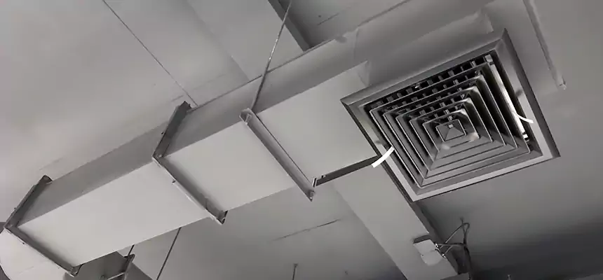 Our Pest Removal From Ducts Services in Woodlawn, VA