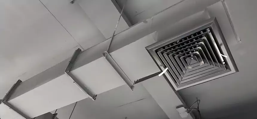 Our Rodent Droppings In Vents Services in Woodlawn, VA