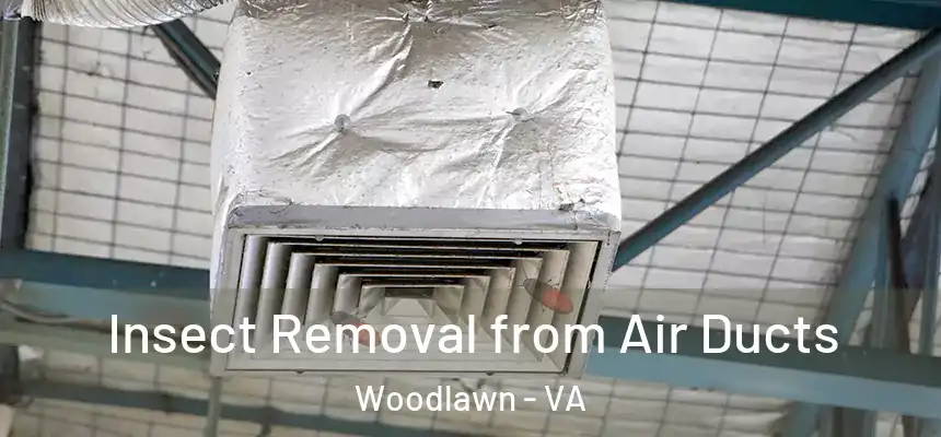  Insect Removal from Air Ducts Woodlawn - VA
