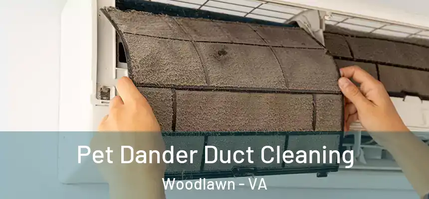 Pet Dander Duct Cleaning Woodlawn - VA