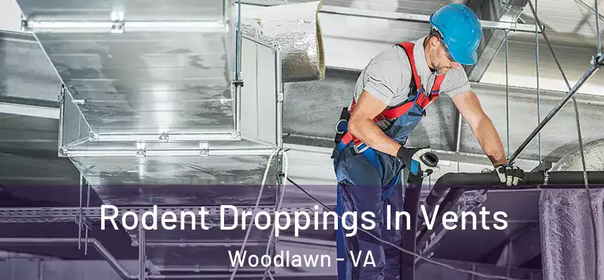  Rodent Droppings In Vents Woodlawn - VA