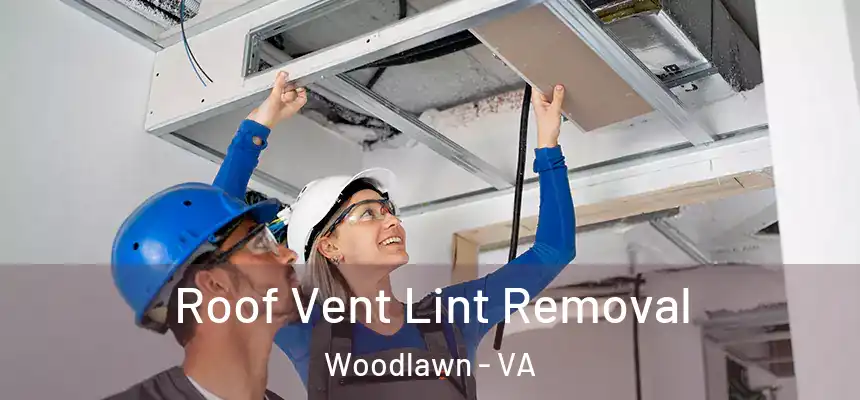  Roof Vent Lint Removal Woodlawn - VA