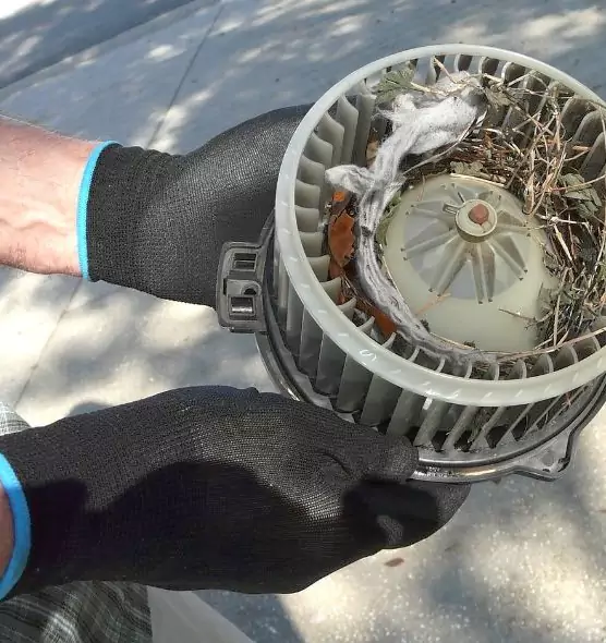 About Air Duct Rat Removal in Woodlawn, VA