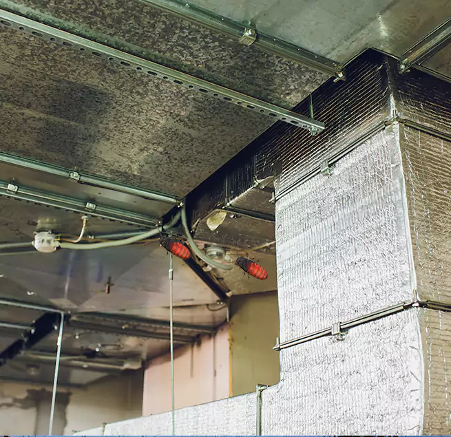 Why Homeowners & Businesses Trust Us Woodlawn, VA?